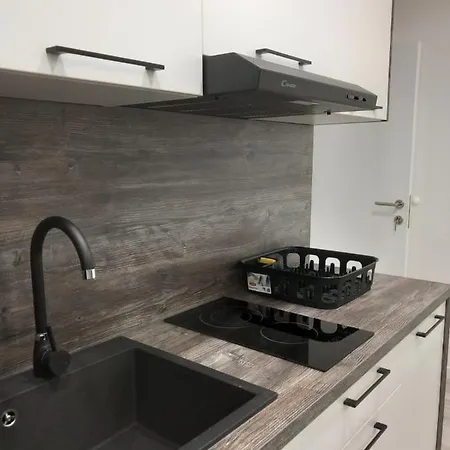 Mis-for In Center Apartman Rijeka