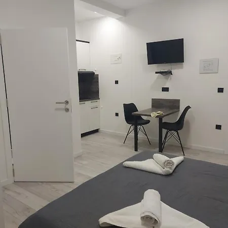Mis-for In Center Apartament Rijeka