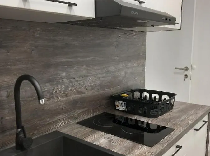 Mis-for In Center Appartement Rijeka