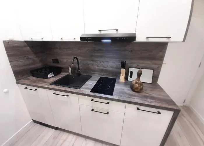 Mis-for In Center Appartement Rijeka