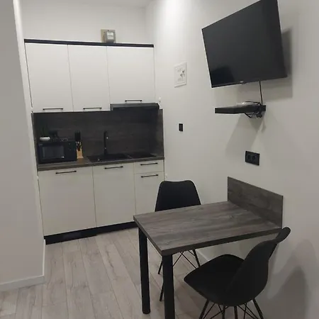 Apartment Mis-for In Center Rijeka