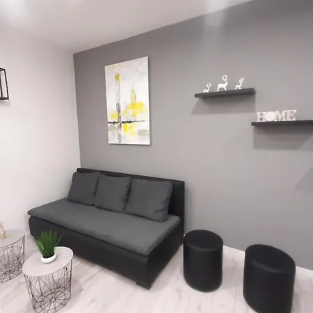 Apartment Mis-for In Center Rijeka