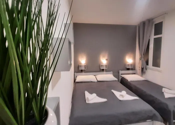 Mis-for In Center Daire Rijeka